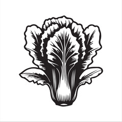 Chinese Cabage silhouette vector illustration 
