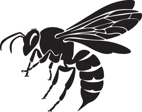 vector silhouette of a hornet Art & Illustration