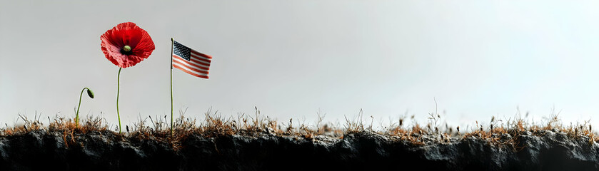 Poppy and folded flag floating above ground concept as A serene image of a poppy and a folded American flag floating above the ground isolated on a white background. The elements represent remembrance