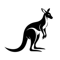 Fototapeta premium Kangaroo