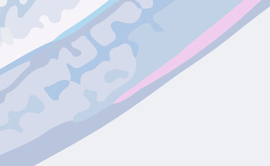 Modern minimalist abstract aesthetic illustrations. Contemporary wall decor. Collection of creative artistic posters