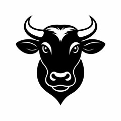 Fototapeta premium cow