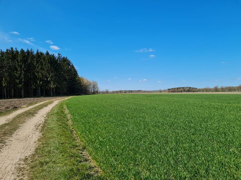 Feld am Bocksberg (52 m hoch) Landkreis Stade