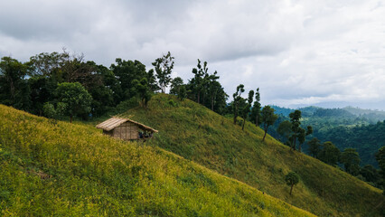 Under the open sky, everything feels possible
