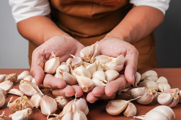 A man wearing brown apron is holding a bunch of garlics in hand palms. Isolated on white background