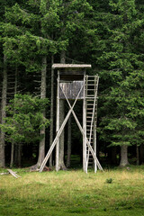 Hunting Blind in forest