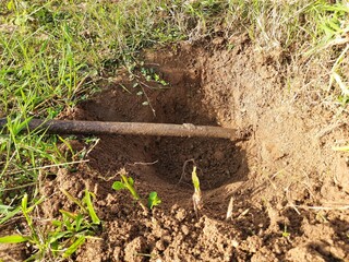 A pit dug for planting a sapling. Preparation for planting a tree in a field.