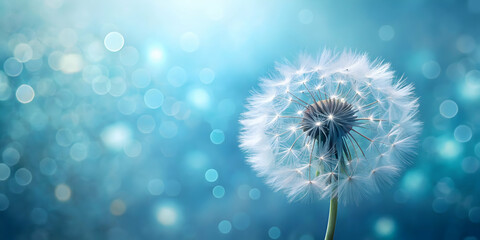 Serene Dandelion Wishes: A dreamy, ethereal dandelion clock against a soft, bokeh-blurred blue background.  The image evokes feelings of hope, tranquility, and new beginnings.