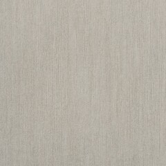 Fototapeta premium Cool Grey Texture for Modern Design Projects