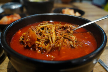 Yukgaejang is a spicy Korean soup dish made by boiling beef, green onions, etc. for a long time.