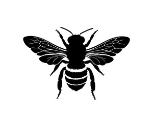 Black Silhouette of a Bee with Detailed Wings