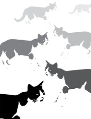 Cats black vector illustration on white background