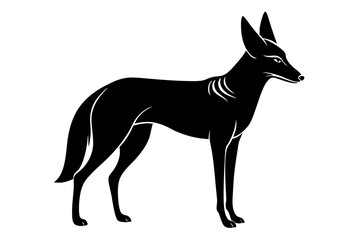 Jackal Slim Long-Legged Canine with an Alert Stance Silhouette Vector Illustration