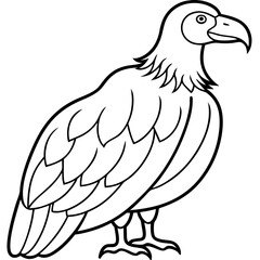 eagle line art use for coloirng book