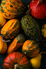 Various decorative pumpkin on green background