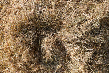 background of dry straw perfect for aromatic hay baths
