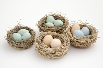 Colorful Eggs in Natural Nests