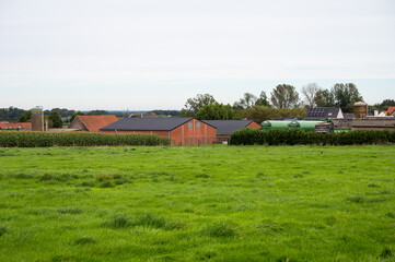 Agriculture fields and farmhouses at the Flemish countryside in Merchtem, Flanders, Belgium, SEP 29, 2024