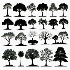 Fototapeta premium set of trees silhouettes