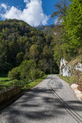 Mountain landscape with a road in the middle of the gorge with green forest and blue sky