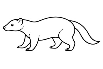 Creative Outline of a Honey Badger on the Move with Its Head Up Illustrated in Vector
