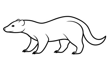 Vector Illustration of a Honey Badger Walking Proudly with Its Head Held High
