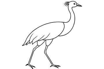Unique Vector Outline of a Secretary Bird Walking a Symbol of Graceful Wildlife





