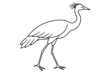 Graceful Secretary Bird Outline in Vector Art Capturing Nature's Beauty

