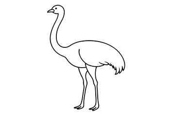 Obraz premium Vector Illustration of a Standing Ostrich Featuring a Long Neck and Small Head Design 