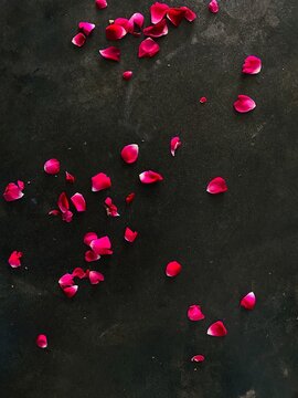 red rose petals on a wooden background