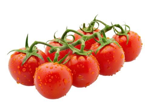 番茄西红柿水果浆果果肉鲜果特写
