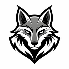 Fototapeta premium coyote