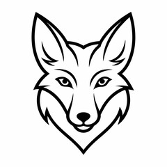 Obraz premium coyote