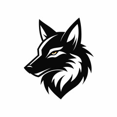 Obraz premium coyote