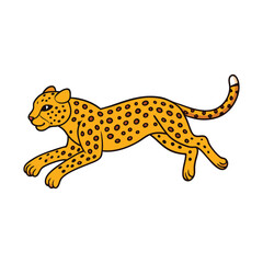 A cartoon drawing of a tiger on a white background.