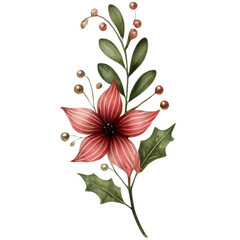 Watercolor floral branch with berries and leaves. Watercolor illustration isolated on transparent background.