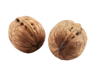 新鲜饱满核桃核果坚果干果特写素材