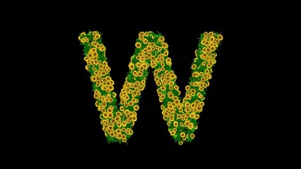 English alphabet W with green leaves and yellow daisy flowers on plain black background