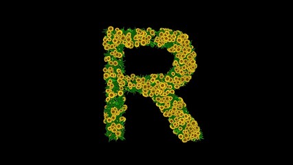 Beautiful illustration of English alphabet R with green leaves and yellow daisy flowers on plain black background