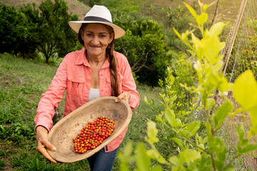 Mujer agricultura feliz mostrando su colecta eje cafetero colombia horizontal plano americano