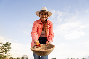 retrato mujer chapolera campesina agricultura posando con cosechando eje cafetero colombia contra picado horizontal