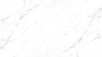 white background marble wall texture, white background marble wall texture, Abstract marble background. Colorful paint fluid wawes.