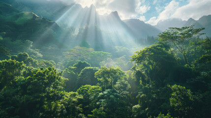 Obraz premium A dense forest at the foot of towering mountains, with sunlight breaking through the canopy