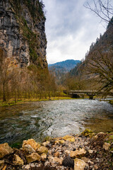 mountain river nature forest turbulent current