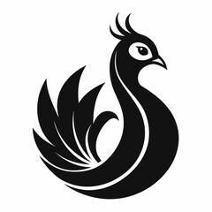 Obraz premium peacock 