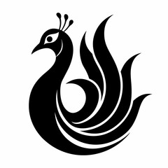 Fototapeta premium peacock 