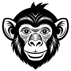 head of a monkey on a white background