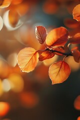 Autumn leaves with warm sunlight bokeh background. Close up of orange leaves and blurred natural background. Golden autumn and fall foliage.