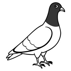 illustration of a pigeon victor logo icons .