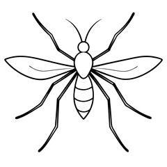 A dragonfly illustration vector logo  icons .